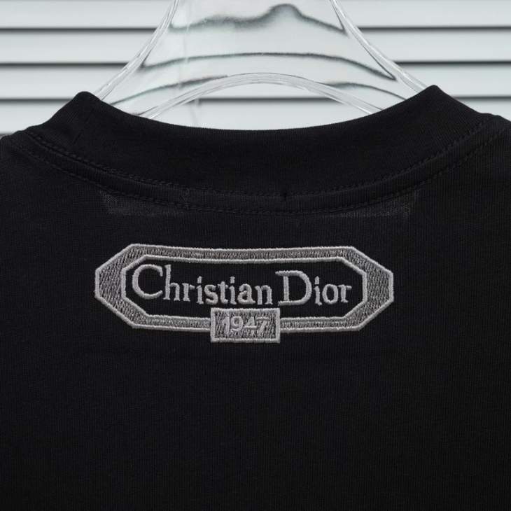 Dior T Shirts Short _SKUDiorS-2XLxetr22915927